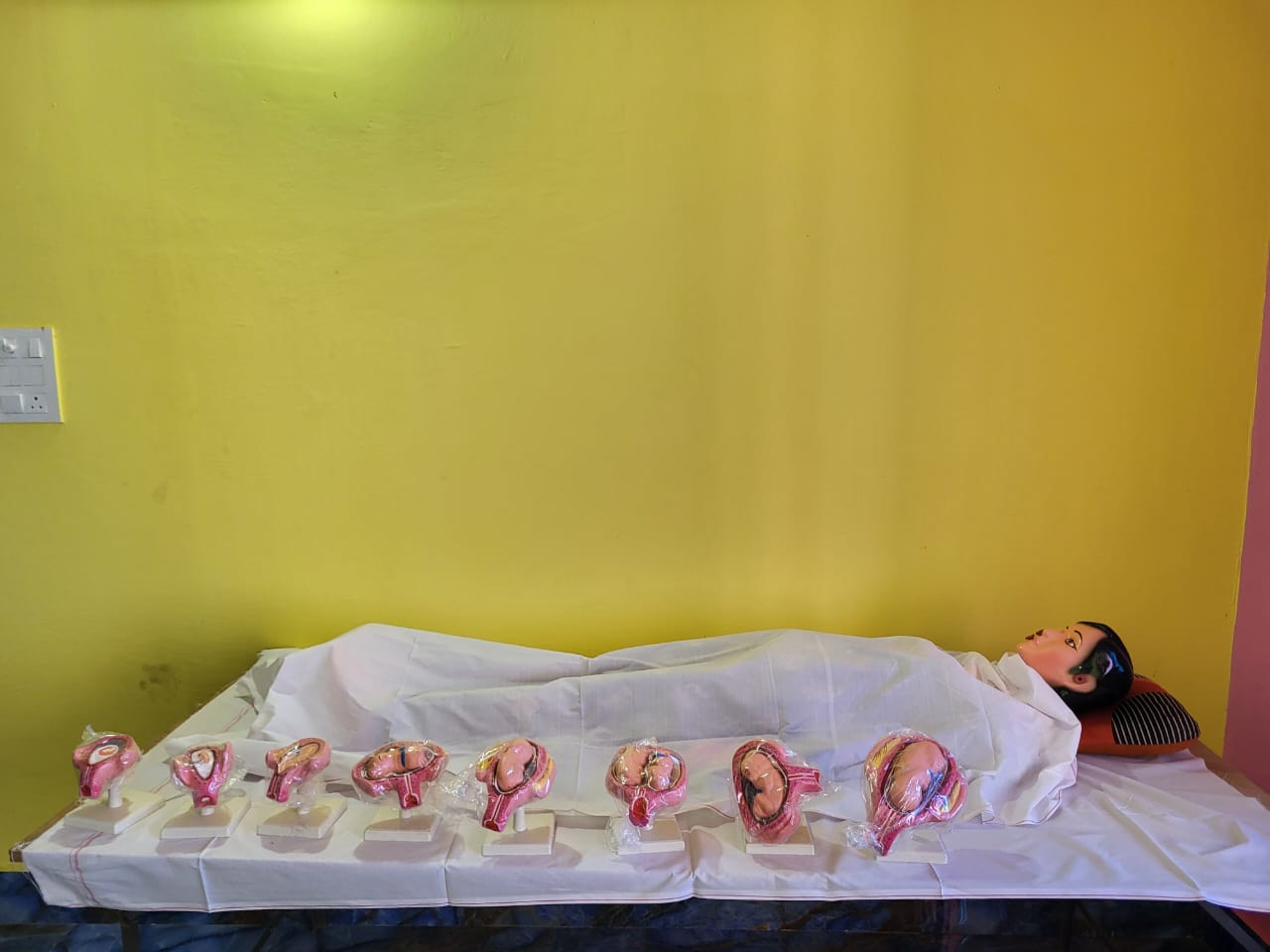 Nursing Skills Laboratory