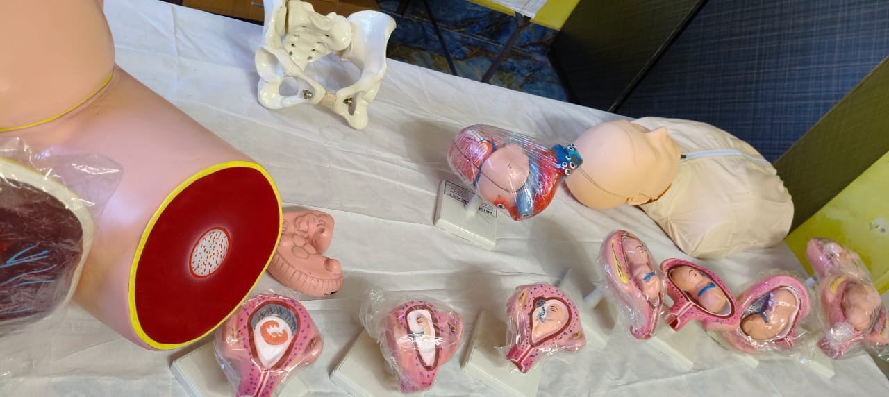 Anatomy & Physiology Lab